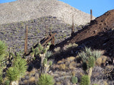 BEAR WALLOW Lode Mining Claim, Ivanpah, San Bernardino County, California
