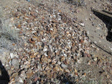 Mining Claim in Ivanpah CA, EXPOSED EXTENSION