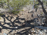Mining Claim in Ivanpah CA, EXPOSED EXTENSION