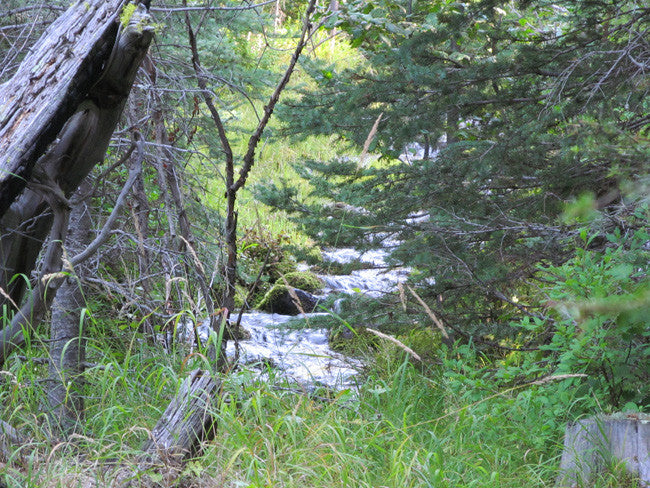 ALAXANDRITE SAPPHIRE Placer Mining Claim, Beaver Creek, Granite County, Montana