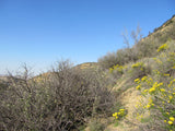 ANDY MINE California Benitoite Mining Claim