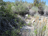 GOLDEN STAR Mining Claim, Lone Pine, Inyo County, California