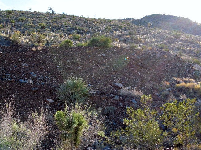 BEAR WALLOW Lode Mining Claim, Ivanpah, San Bernardino County, California