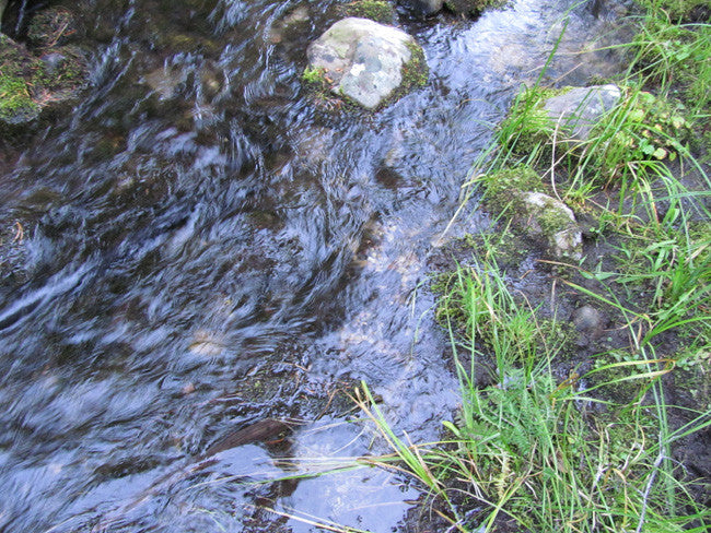 ALAXANDRITE SAPPHIRE Placer Mining Claim, Beaver Creek, Granite County, Montana