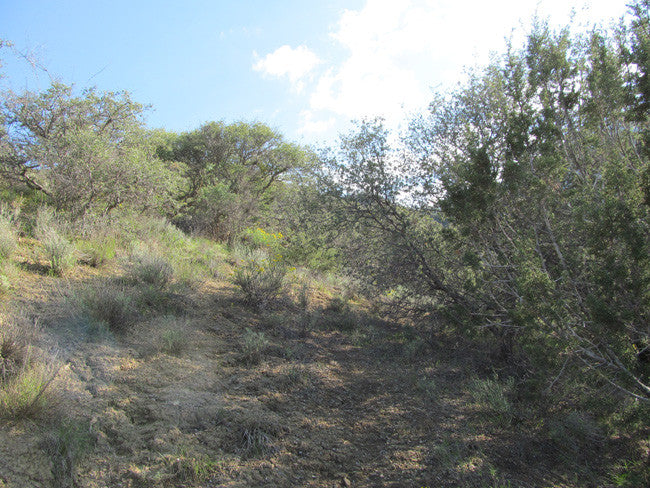 ANDY MINE California Benitoite Mining Claim