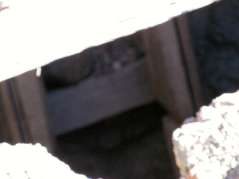 Mining Claim in Ivanpah CA, EXPOSED EXTENSION