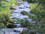 ALAXANDRITE SAPPHIRE Placer Mining Claim, Beaver Creek, Granite County, Montana