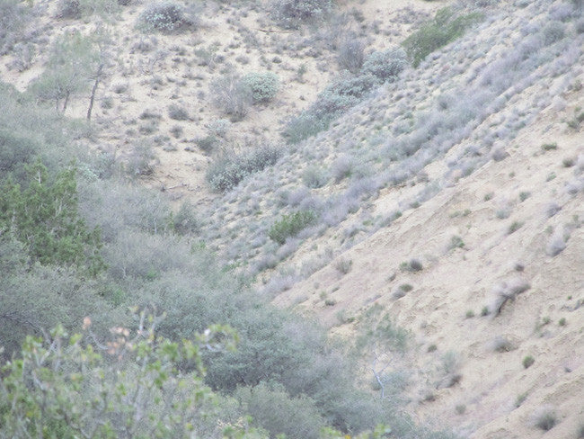 DAFFYS Placer Mining Claim, Idria Mining District, San Benito County, California