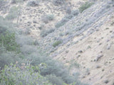 DAFFYS Placer Mining Claim, Idria Mining District, San Benito County, California