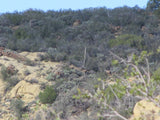 BENN BENITOITE, Placer Mining Claim, Idria Mining District, San Benito County, California