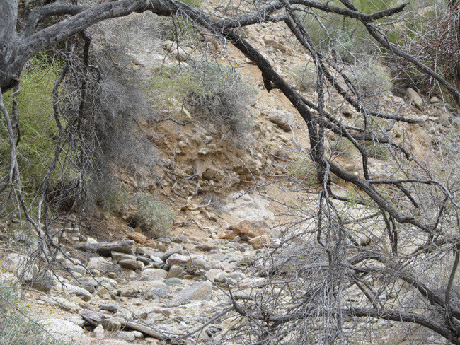 Wenden Arizona Placer Claim 20 Acres YELLOW RIVER MINE
