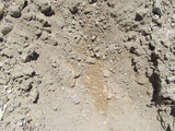 DELTA MINE, Lode Mining Claim, Fallon, Churchill County, Nevada