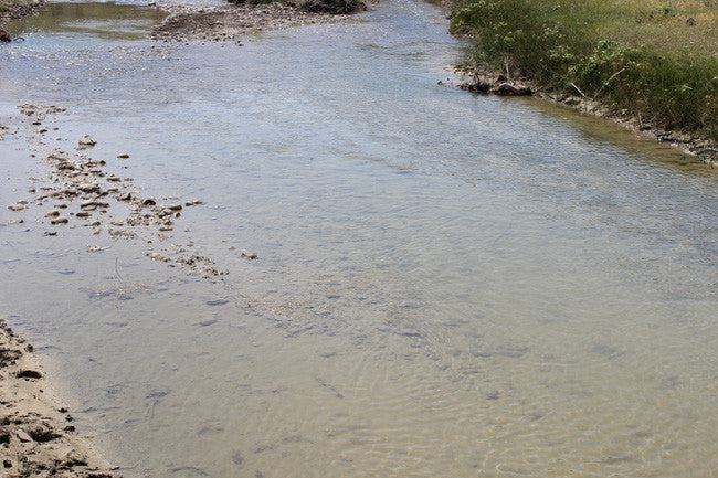 ALCOVA GOLD Placer Mining Claim, Cottonwood Creek, Washakie County, Wyoming