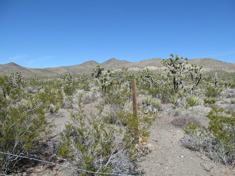 Mining Claim in Ivanpah CA, EXPOSED EXTENSION