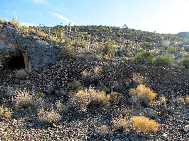 BEAR WALLOW Lode Mining Claim, Ivanpah, San Bernardino County, California