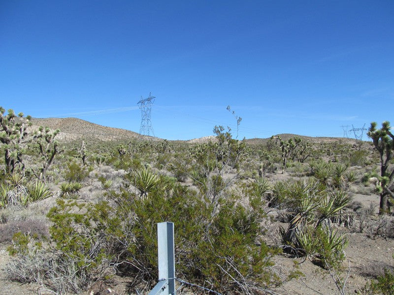 Mining Claim in Ivanpah CA, EXPOSED EXTENSION
