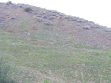 DAFFYS Placer Mining Claim, Idria Mining District, San Benito County, California