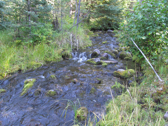 ALAXANDRITE SAPPHIRE Placer Mining Claim, Beaver Creek, Granite County, Montana
