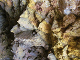 Middlegate Historic Gold Mine with massive Tailings