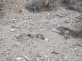 Wenden Arizona Placer Claim 20 Acres YELLOW RIVER MINE
