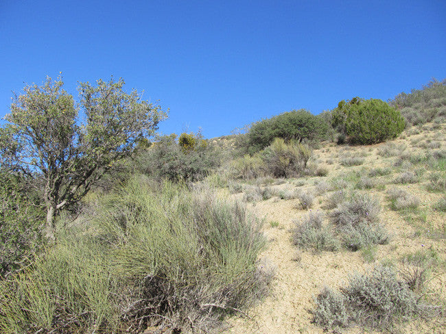 BENN BENITOITE, Placer Mining Claim, Idria Mining District, San Benito County, California