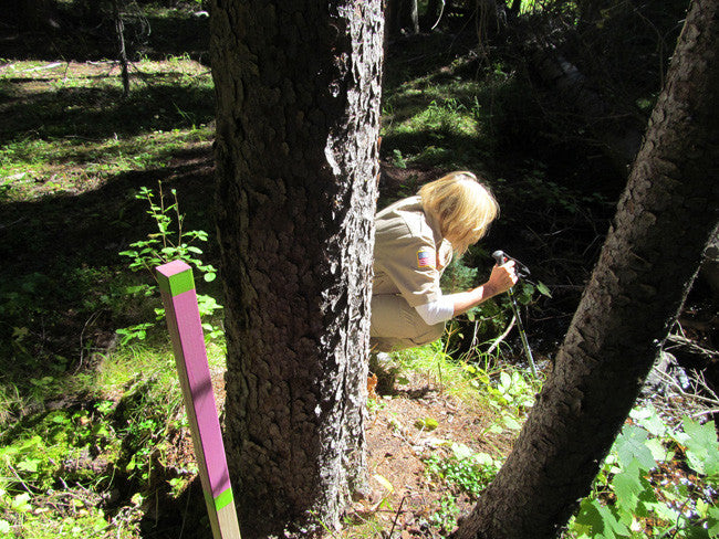KASHMIR SAPPHIRE Placer Mining Claim, Beaver Creek, Granite County, Montana