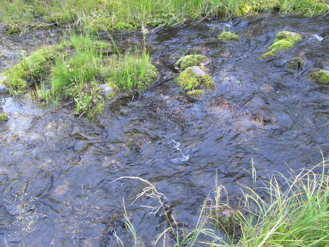 ALAXANDRITE SAPPHIRE Placer Mining Claim, Beaver Creek, Granite County, Montana
