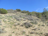 BENN BENITOITE, Placer Mining Claim, Idria Mining District, San Benito County, California