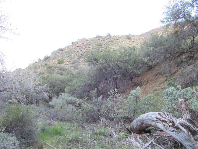 DAFFYS Placer Mining Claim, Idria Mining District, San Benito County, California