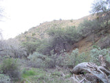 DAFFYS Placer Mining Claim, Idria Mining District, San Benito County, California