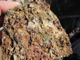 HOMESTAKE MINE, Lode Claim, Elliston District, Powell County, Montana