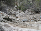 Wenden Arizona Placer Claim 20 Acres YELLOW RIVER MINE