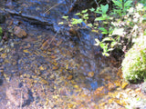 KASHMIR SAPPHIRE Placer Mining Claim, Beaver Creek, Granite County, Montana