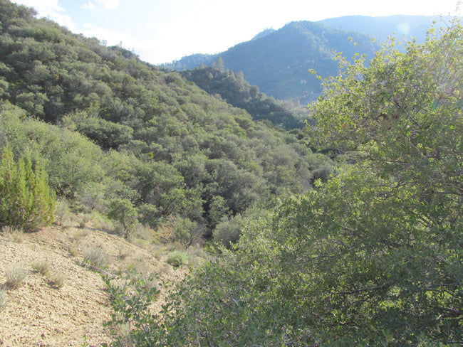 ANDY MINE California Benitoite Mining Claim
