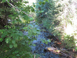 ALAXANDRITE SAPPHIRE Placer Mining Claim, Beaver Creek, Granite County, Montana