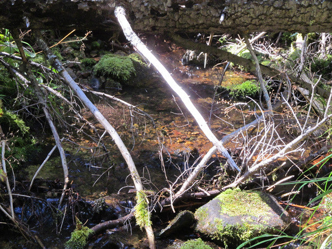 KASHMIR SAPPHIRE Placer Mining Claim, Beaver Creek, Granite County, Montana