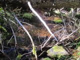 KASHMIR SAPPHIRE Placer Mining Claim, Beaver Creek, Granite County, Montana