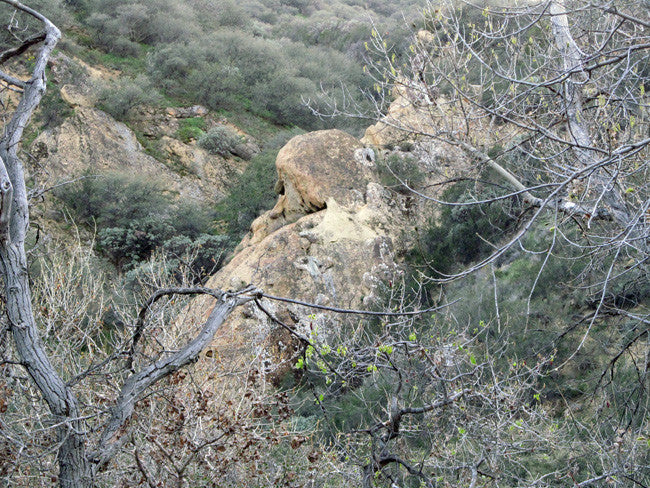 DAFFYS Placer Mining Claim, Idria Mining District, San Benito County, California