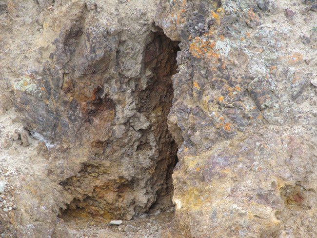 Middlegate Historic Gold Mine with massive Tailings