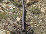Mining Claim in Milford, UT - BLUEBELL