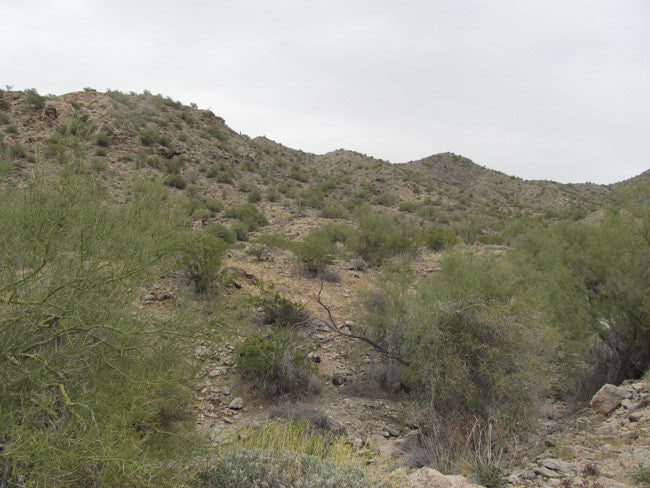 Wenden Arizona Placer Claim 20 Acres YELLOW RIVER MINE