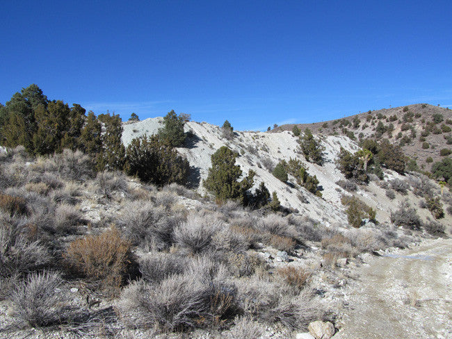CYPRESS Lode Mining Claim, Palmetto, Esmeralda County, Nevada