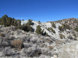 CYPRESS Lode Mining Claim, Palmetto, Esmeralda County, Nevada
