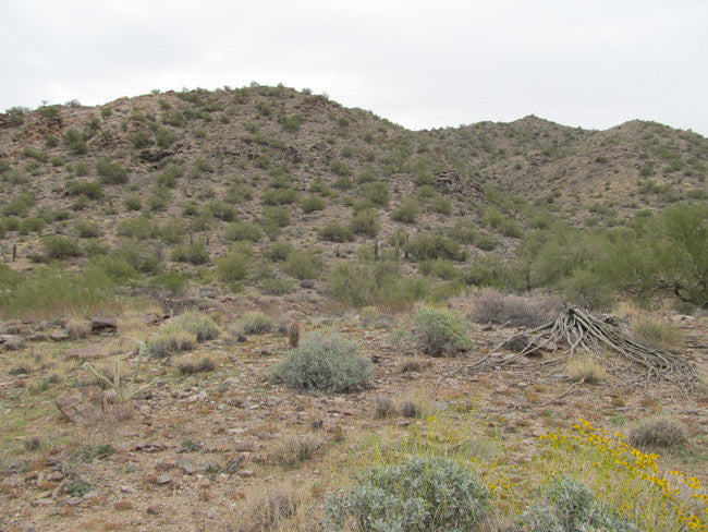 Wenden Arizona Placer Claim 20 Acres YELLOW RIVER MINE