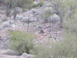 Wenden Arizona Placer Claim 20 Acres YELLOW RIVER MINE