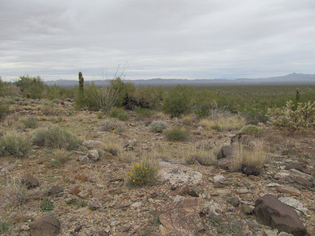 Wenden Arizona Placer Claim 20 Acres YELLOW RIVER MINE