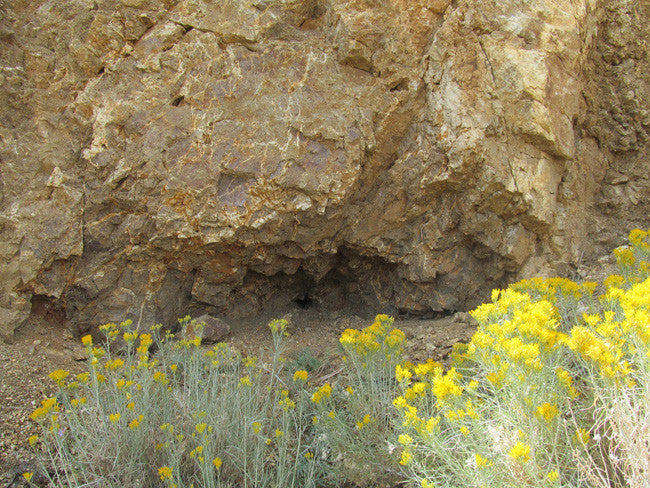 Mining Claim in Milford, UT - BLUEBELL