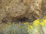 Mining Claim in Milford, UT - BLUEBELL
