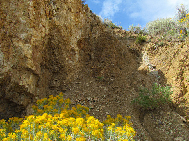 Mining Claim in Milford, UT - BLUEBELL