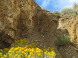 Mining Claim in Milford, UT - BLUEBELL